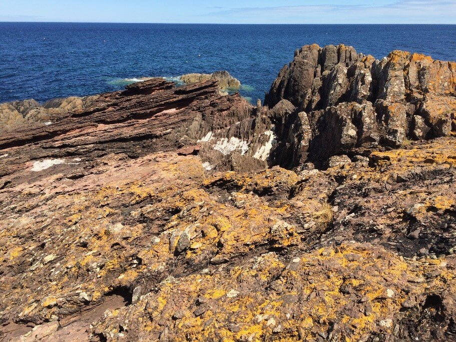 Siccar Point Geology